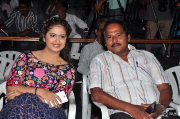 Maanja Movie Audio Launch